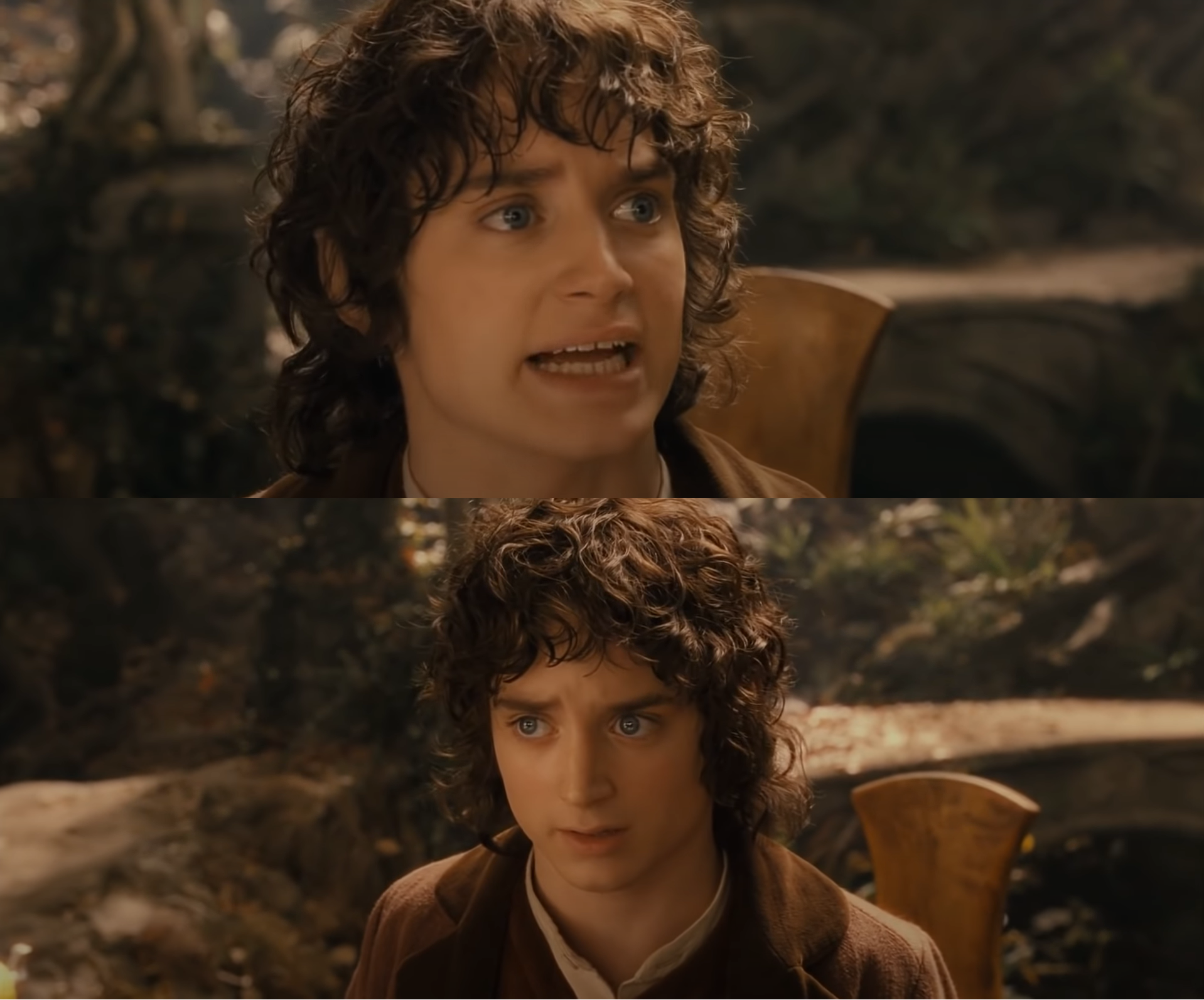 High Quality I will take the Ring to Mordor, though I do not know the way Blank Meme Template