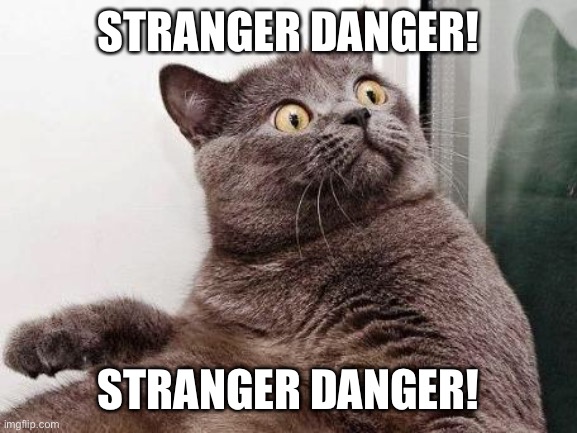 Surprised cat | STRANGER DANGER! STRANGER DANGER! | image tagged in surprised cat | made w/ Imgflip meme maker