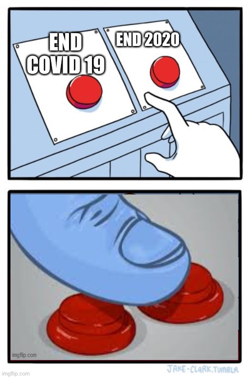 Two buttons V4 | END COVID 19; END 2020 | image tagged in two buttons v4 | made w/ Imgflip meme maker