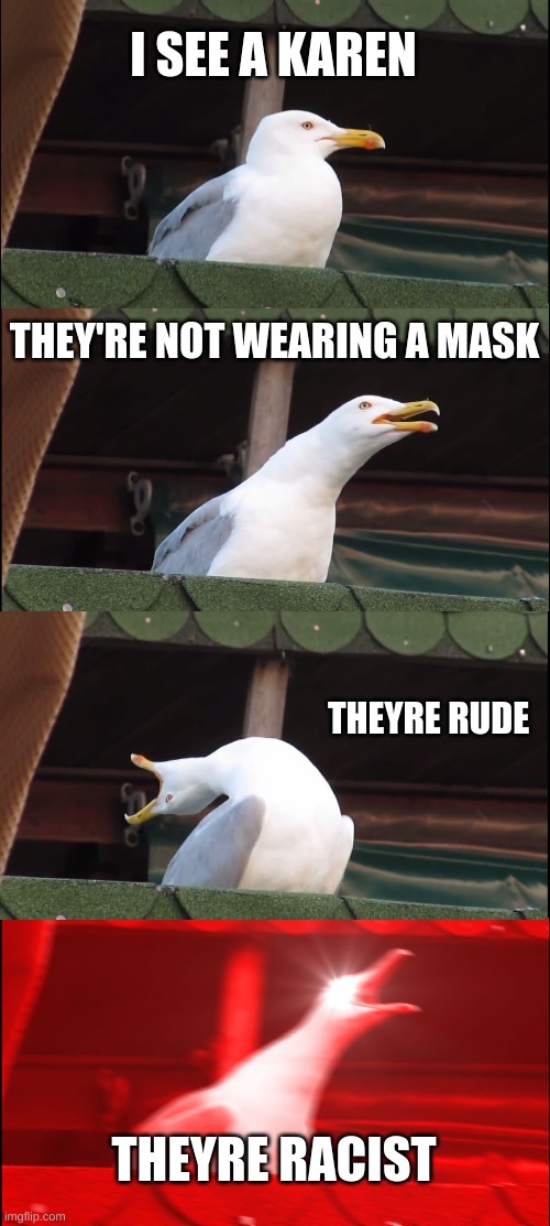 Inhaling Seagull | I SEE A KAREN; THEY'RE NOT WEARING A MASK; THEYRE RUDE; THEYRE RACIST | image tagged in memes,inhaling seagull | made w/ Imgflip meme maker