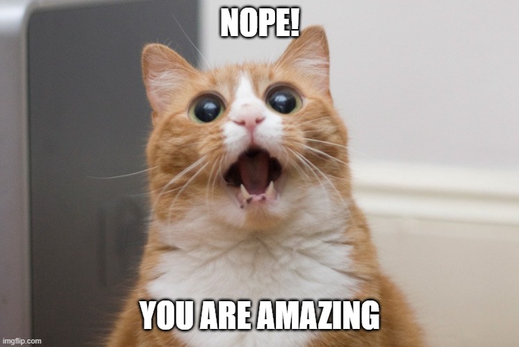 Amazed cat | NOPE! YOU ARE AMAZING | image tagged in amazed cat | made w/ Imgflip meme maker