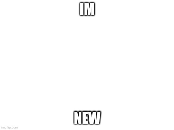 Blank White Template | IM; NEW | image tagged in blank white template | made w/ Imgflip meme maker