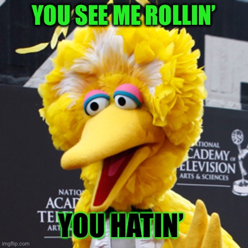 Big Bird Meme | YOU SEE ME ROLLIN’ YOU HATIN’ | image tagged in memes,big bird | made w/ Imgflip meme maker