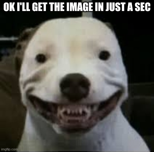 Cute doggo | OK I'LL GET THE IMAGE IN JUST A SEC | image tagged in cute doggo | made w/ Imgflip meme maker