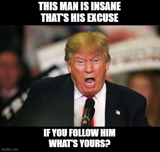 Lost Touch With Reality | THIS MAN IS INSANE
THAT'S HIS EXCUSE; IF YOU FOLLOW HIM
WHAT'S YOURS? | image tagged in trump is delusional,pathological liar,psychopath,malignant narcissist,sexual assaulter,trump equals death | made w/ Imgflip meme maker