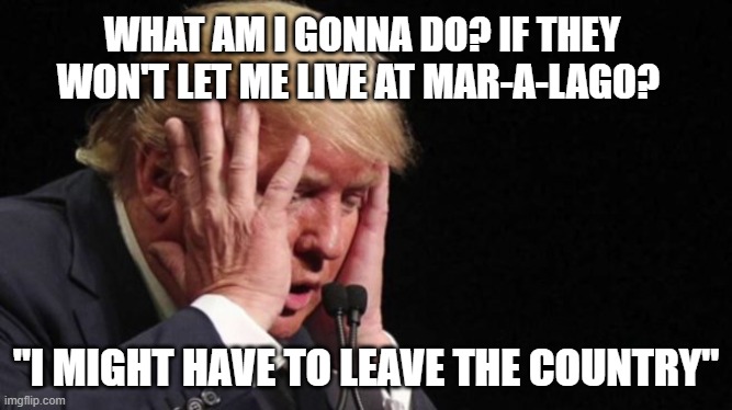 Loser Trump might have to leave the country | WHAT AM I GONNA DO? IF THEY WON'T LET ME LIVE AT MAR-A-LAGO? "I MIGHT HAVE TO LEAVE THE COUNTRY" | image tagged in trump,loser,election 2020,leave,country,maga | made w/ Imgflip meme maker