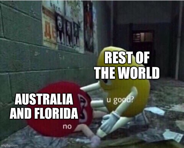 It do be like that | REST OF THE WORLD; AUSTRALIA AND FLORIDA | image tagged in u good no | made w/ Imgflip meme maker