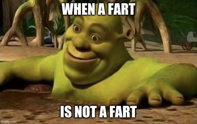 warm and mushy | WHEN A FART; IS NOT A FART | image tagged in shocked shrek | made w/ Imgflip meme maker