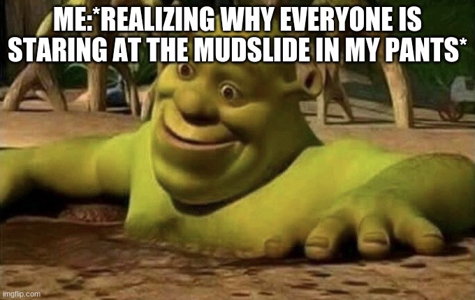 did a shart in the shorts | ME:*REALIZING WHY EVERYONE IS STARING AT THE MUDSLIDE IN MY PANTS* | image tagged in shocked shrek | made w/ Imgflip meme maker