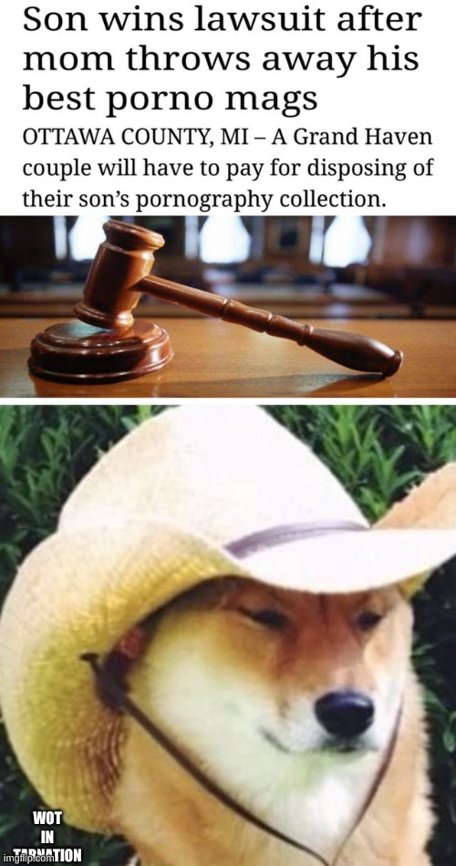 WOT IN TARNATION | image tagged in wot in tarnation | made w/ Imgflip meme maker