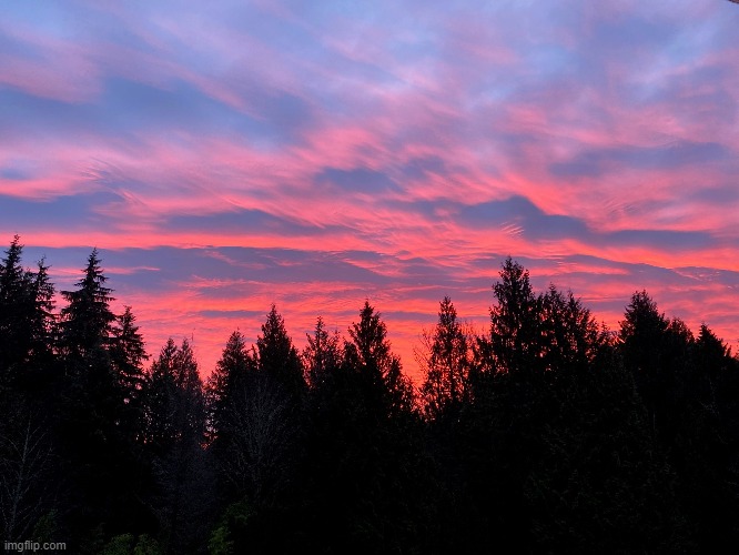 sunrise off my deck looking at washington pinetrees | made w/ Imgflip meme maker
