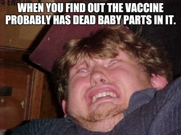 MRNA | WHEN YOU FIND OUT THE VACCINE PROBABLY HAS DEAD BABY PARTS IN IT. | image tagged in memes,wtf | made w/ Imgflip meme maker