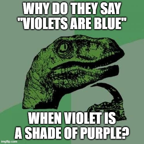 Philosoraptor | WHY DO THEY SAY "VIOLETS ARE BLUE"; WHEN VIOLET IS A SHADE OF PURPLE? | image tagged in memes,philosoraptor | made w/ Imgflip meme maker