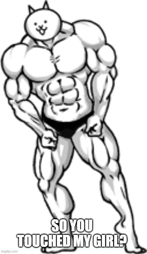 SO YOU TOUCHED MY GIRL? | made w/ Imgflip meme maker