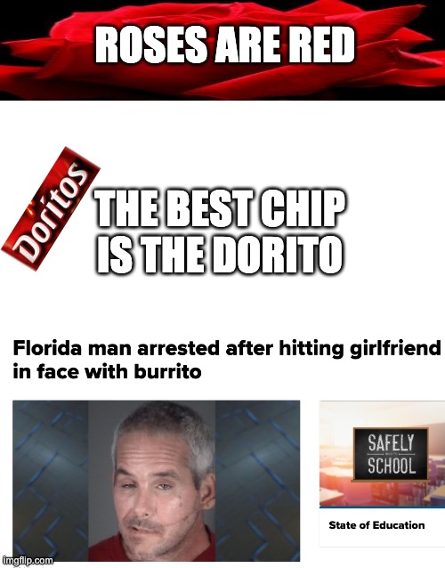 What has happened to the world | ROSES ARE RED; THE BEST CHIP IS THE DORITO | image tagged in blank white template | made w/ Imgflip meme maker