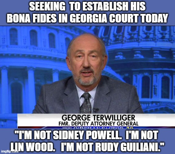 GOP lawyer arguing for voter suppression in runoff declares his credibility | SEEKING  TO ESTABLISH HIS BONA FIDES IN GEORGIA COURT TODAY; "I'M NOT SIDNEY POWELL.  I'M NOT 
LIN WOOD.   I'M NOT RUDY GUILIANI." | image tagged in election 2020,voter fraud,gop scammers,georgia | made w/ Imgflip meme maker