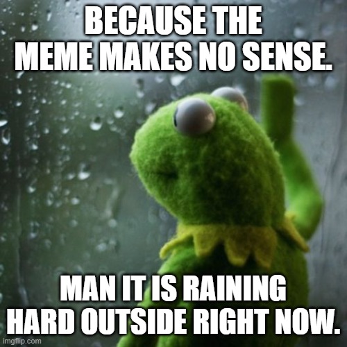 sometimes I wonder  | BECAUSE THE MEME MAKES NO SENSE. MAN IT IS RAINING HARD OUTSIDE RIGHT NOW. | image tagged in sometimes i wonder | made w/ Imgflip meme maker