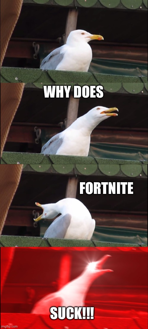 Inhaling Seagull | WHY DOES; FORTNITE; SUCK!!! | image tagged in memes,inhaling seagull | made w/ Imgflip meme maker