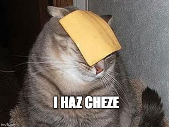 Cats with cheese | I HAZ CHEZE | image tagged in cats with cheese | made w/ Imgflip meme maker