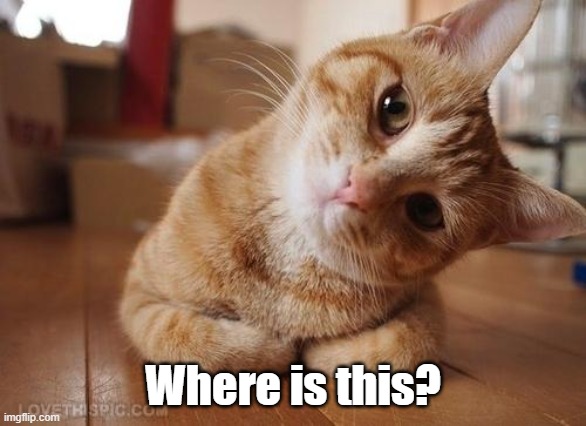 Curious Question Cat | Where is this? | image tagged in curious question cat | made w/ Imgflip meme maker