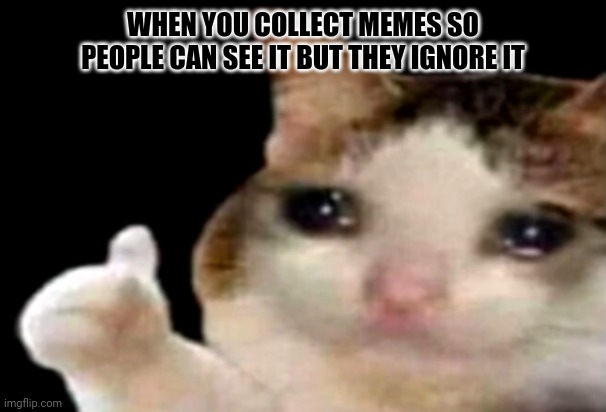 Sad cat thumbs up | WHEN YOU COLLECT MEMES SO PEOPLE CAN SEE IT BUT THEY IGNORE IT | image tagged in sad cat thumbs up | made w/ Imgflip meme maker