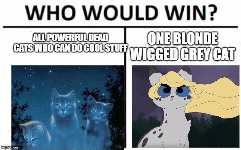 Ashfur with da blonde wig | ALL POWERFUL DEAD CATS WHO CAN DO COOL STUFF; ONE BLONDE WIGGED GREY CAT | image tagged in memes,who would win,ashfur | made w/ Imgflip meme maker