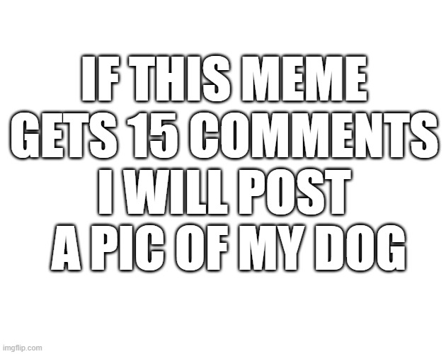 Go one call me beggar | IF THIS MEME GETS 15 COMMENTS I WILL POST  A PIC OF MY DOG | image tagged in blank template | made w/ Imgflip meme maker
