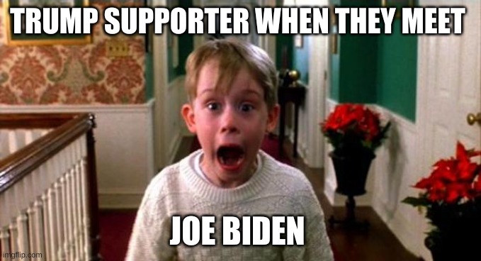 Kevin Home Alone | TRUMP SUPPORTER WHEN THEY MEET; JOE BIDEN | image tagged in kevin home alone | made w/ Imgflip meme maker