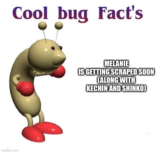 Cool Bug Facts | MELANIE IS GETTING SCRAPED SOON

(ALONG WITH KECHIN AND SHINKO) | image tagged in cool bug facts | made w/ Imgflip meme maker