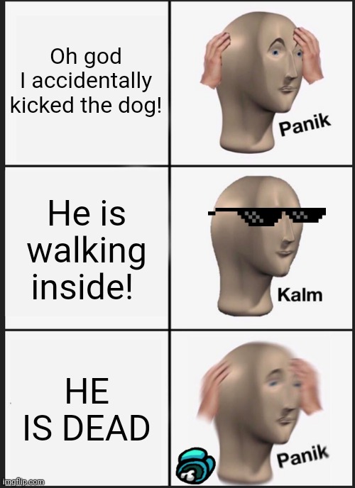 YOU KILLER | Oh god I accidentally kicked the dog! He is walking inside! HE IS DEAD | image tagged in memes,panik kalm panik | made w/ Imgflip meme maker