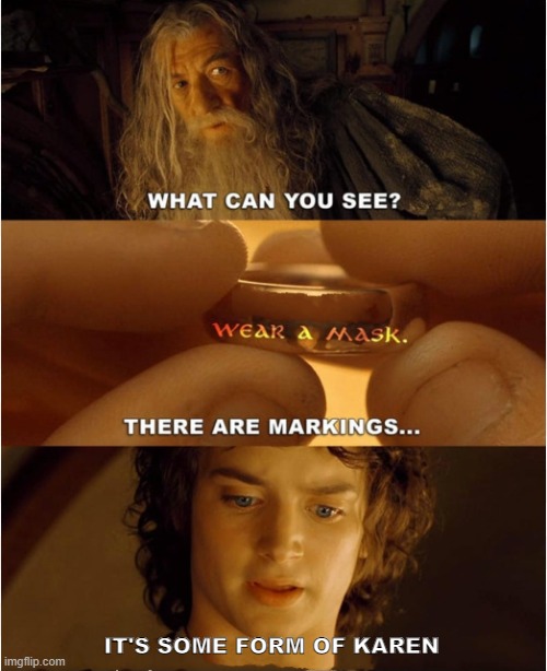 Lord of the Rings Karen Sauron | IT'S SOME FORM OF KAREN | image tagged in wear a mask,karen,lord of the rings,mask,frodo | made w/ Imgflip meme maker