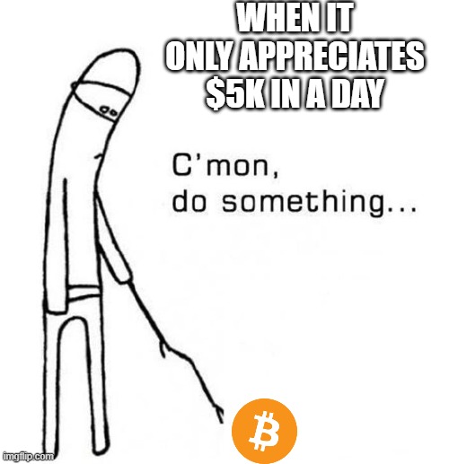 cmon do something | WHEN IT ONLY APPRECIATES $5K IN A DAY | image tagged in cmon do something | made w/ Imgflip meme maker