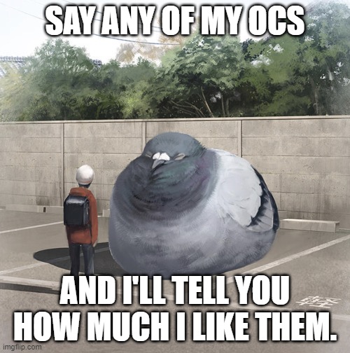 Beeg Birb | SAY ANY OF MY OCS; AND I'LL TELL YOU HOW MUCH I LIKE THEM. | image tagged in beeg birb,oc | made w/ Imgflip meme maker