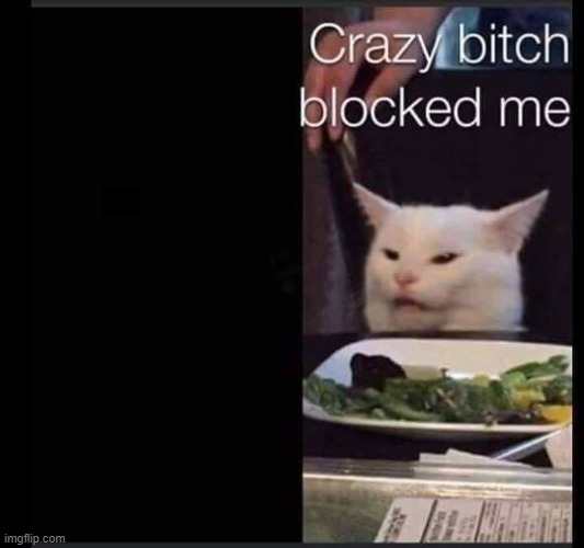 Crazy B*tch Blocked Me. | image tagged in crazy bitch blocked me,memes | made w/ Imgflip meme maker