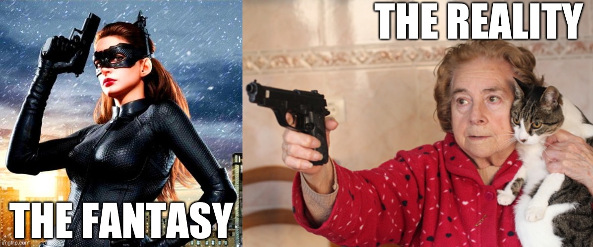 The fantasy and the reality | THE REALITY; THE FANTASY | image tagged in catwoman,perception,cat woman,fantasy,dream | made w/ Imgflip meme maker