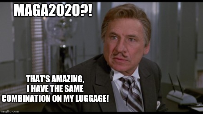 MAGA2020?! THAT'S AMAZING, I HAVE THE SAME COMBINATION ON MY LUGGAGE! | made w/ Imgflip meme maker