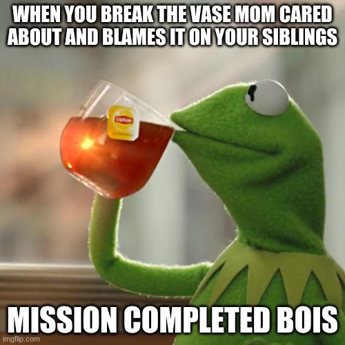 But That's None Of My Business | WHEN YOU BREAK THE VASE MOM CARED ABOUT AND BLAMES IT ON YOUR SIBLINGS; MISSION COMPLETED BOIS | image tagged in memes,but that's none of my business,kermit the frog | made w/ Imgflip meme maker