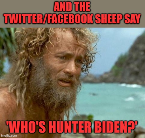Cast away | AND THE TWITTER/FACEBOOK SHEEP SAY 'WHO'S HUNTER BIDEN?' | image tagged in cast away | made w/ Imgflip meme maker