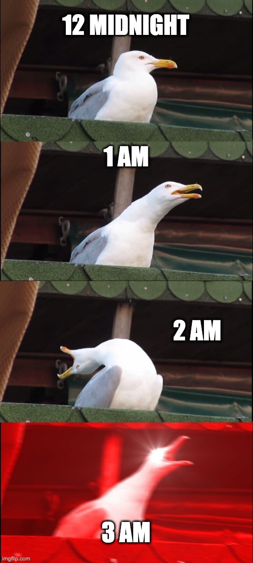 SEAGULL REACTION TO EARLY HOURS | 12 MIDNIGHT; 1 AM; 2 AM; 3 AM | image tagged in memes,inhaling seagull | made w/ Imgflip meme maker