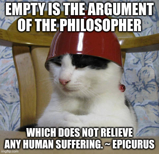 Empty Arguments | EMPTY IS THE ARGUMENT OF THE PHILOSOPHER; WHICH DOES NOT RELIEVE ANY HUMAN SUFFERING. ~ EPICURUS | image tagged in bowlcat,cats,philosophy,suffering | made w/ Imgflip meme maker