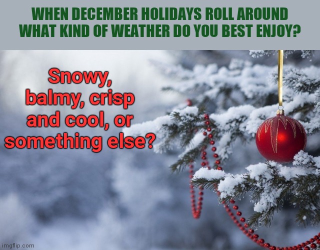 Favorite December holiday weather? | WHEN DECEMBER HOLIDAYS ROLL AROUND WHAT KIND OF WEATHER DO YOU BEST ENJOY? Snowy, balmy, crisp and cool, or something else? | image tagged in snowy winter holiday,weather,december,holidays | made w/ Imgflip meme maker