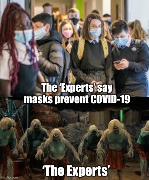 Don’t be an Eloi | The ‘Experts’ say masks prevent COVID-19; ‘The Experts’ | image tagged in covidiots | made w/ Imgflip meme maker