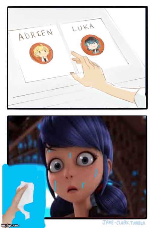 Please choose Adrian!!!!!!! | image tagged in miraculous ladybug,miraculous ships | made w/ Imgflip meme maker