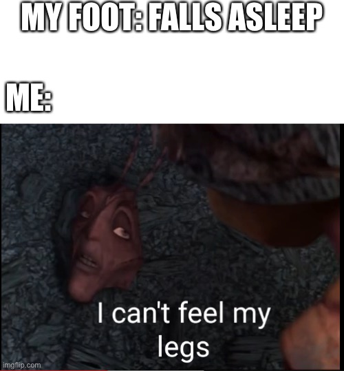 For real tho | MY FOOT: FALLS ASLEEP; ME: | image tagged in i can't feel my legs | made w/ Imgflip meme maker
