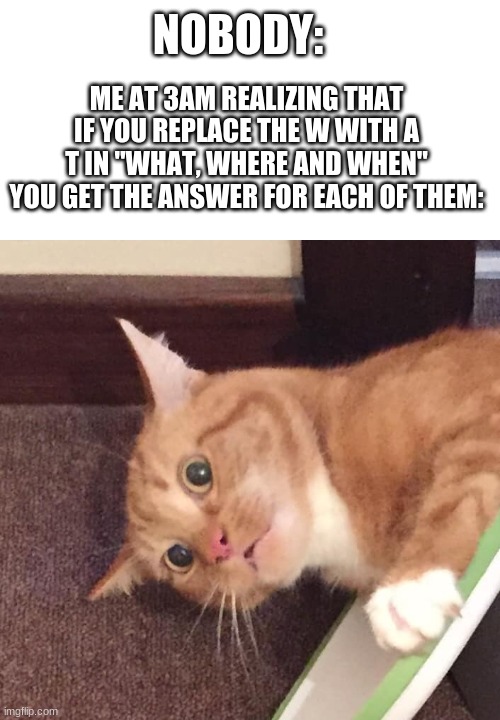 That, There, Then | NOBODY:; ME AT 3AM REALIZING THAT IF YOU REPLACE THE W WITH A T IN "WHAT, WHERE AND WHEN" YOU GET THE ANSWER FOR EACH OF THEM: | image tagged in sudden realization cat | made w/ Imgflip meme maker