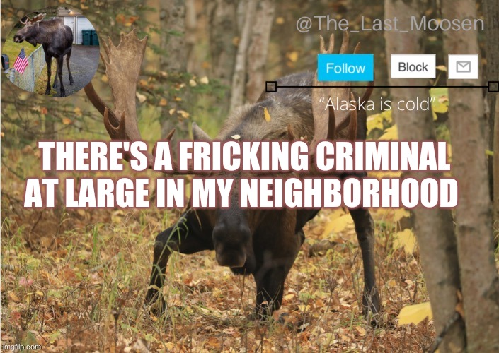 IM NOT JOKING | THERE'S A FRICKING CRIMINAL AT LARGE IN MY NEIGHBORHOOD | made w/ Imgflip meme maker