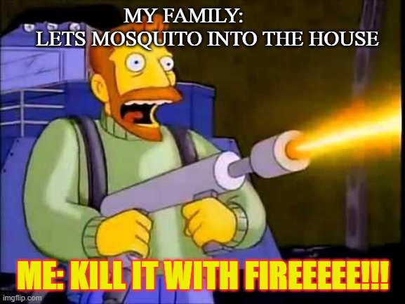 Anyone else feel the same? | MY FAMILY:          LETS MOSQUITO INTO THE HOUSE; ME: KILL IT WITH FIREEEEE!!! | image tagged in kill it with fire,mosquitoes | made w/ Imgflip meme maker