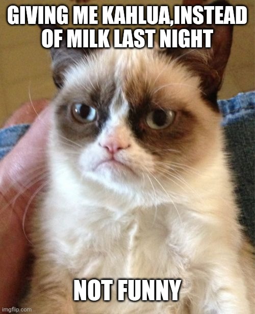 Grumpy Cat | GIVING ME KAHLUA,INSTEAD OF MILK LAST NIGHT; NOT FUNNY | image tagged in memes,grumpy cat | made w/ Imgflip meme maker