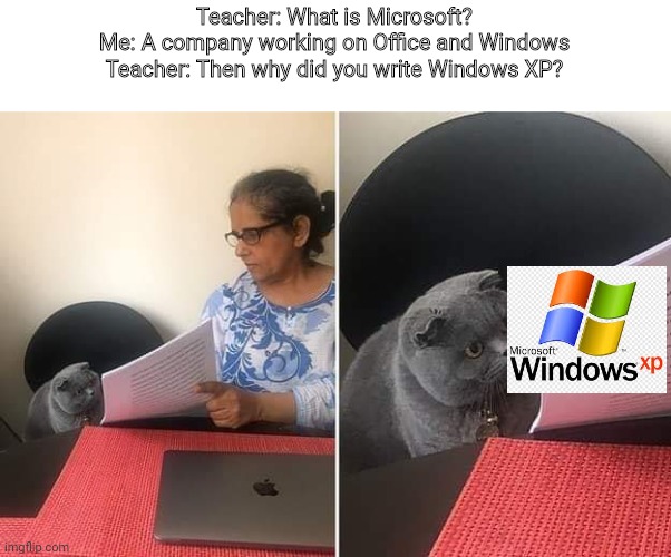 What is MICROSOFT | Teacher: What is Microsoft?
Me: A company working on Office and Windows
Teacher: Then why did you write Windows XP? | image tagged in woman showing paper to cat,microsoft | made w/ Imgflip meme maker