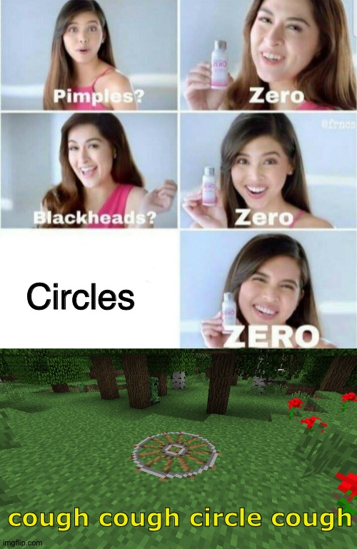 Well it's not a real circle it's just a pixelated one | Circles; cough cough circle cough | image tagged in pimples zero,pixel,minecraft,circle,zero,0 | made w/ Imgflip meme maker